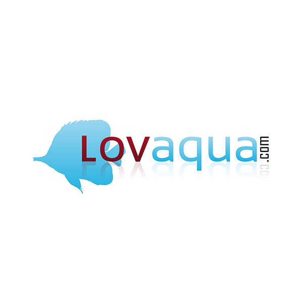 Lovaqua